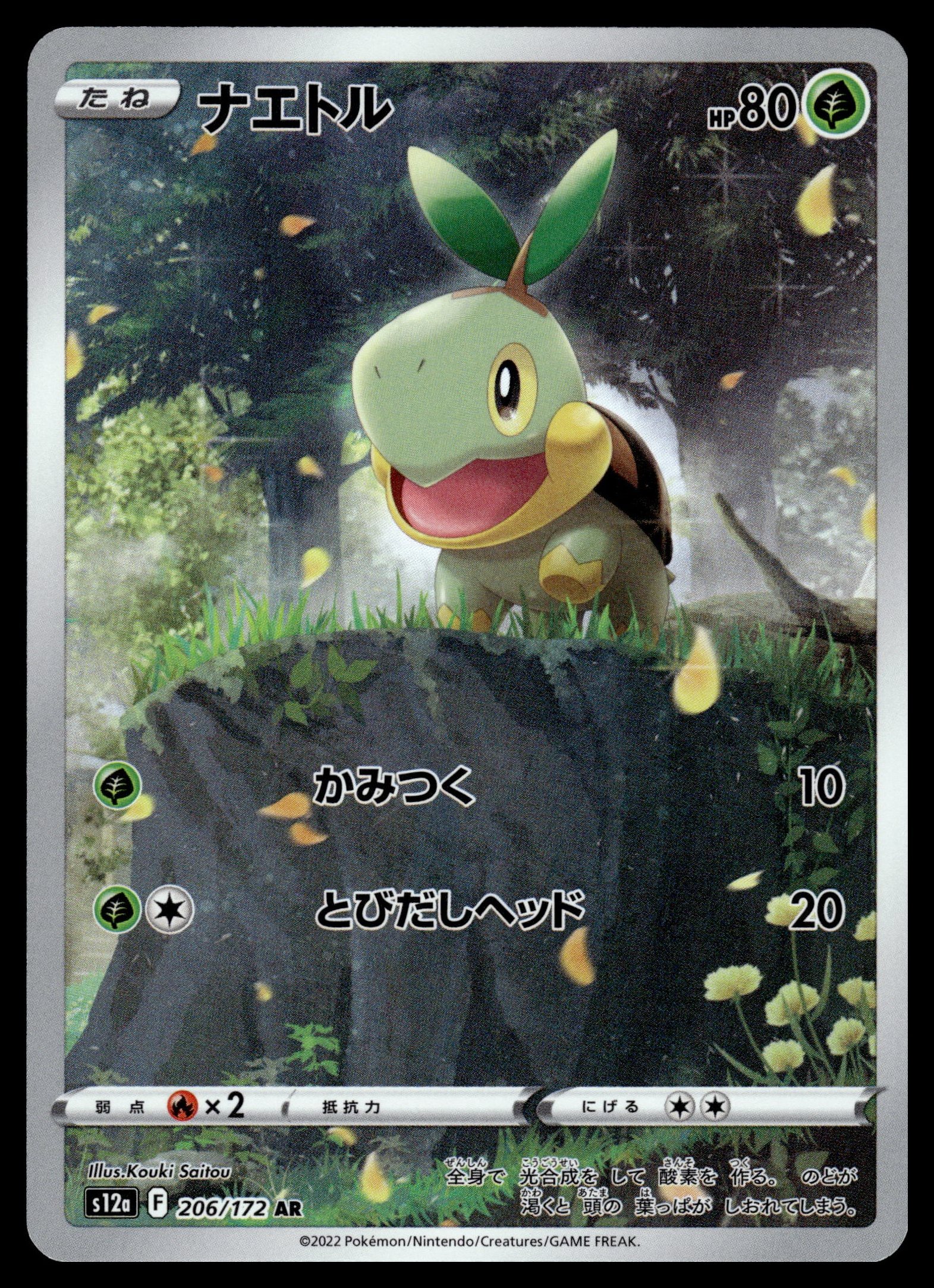 Turtwig 206/172 – front
