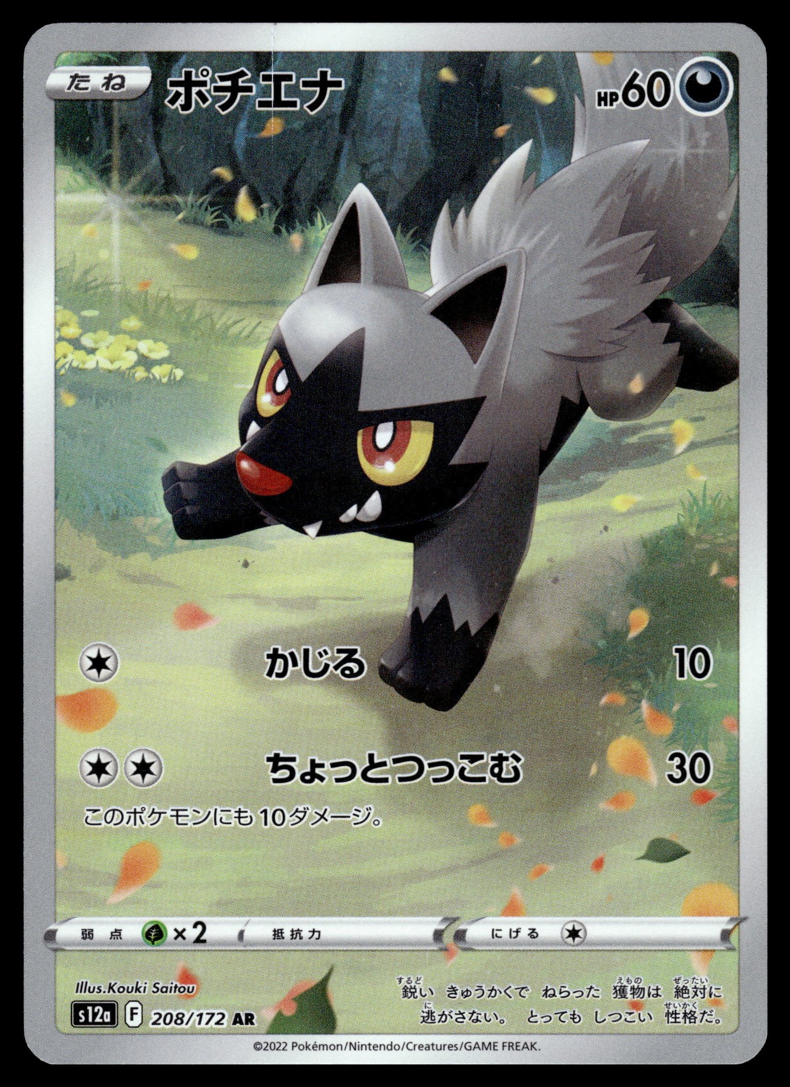 Poochyena 208/172 – front
