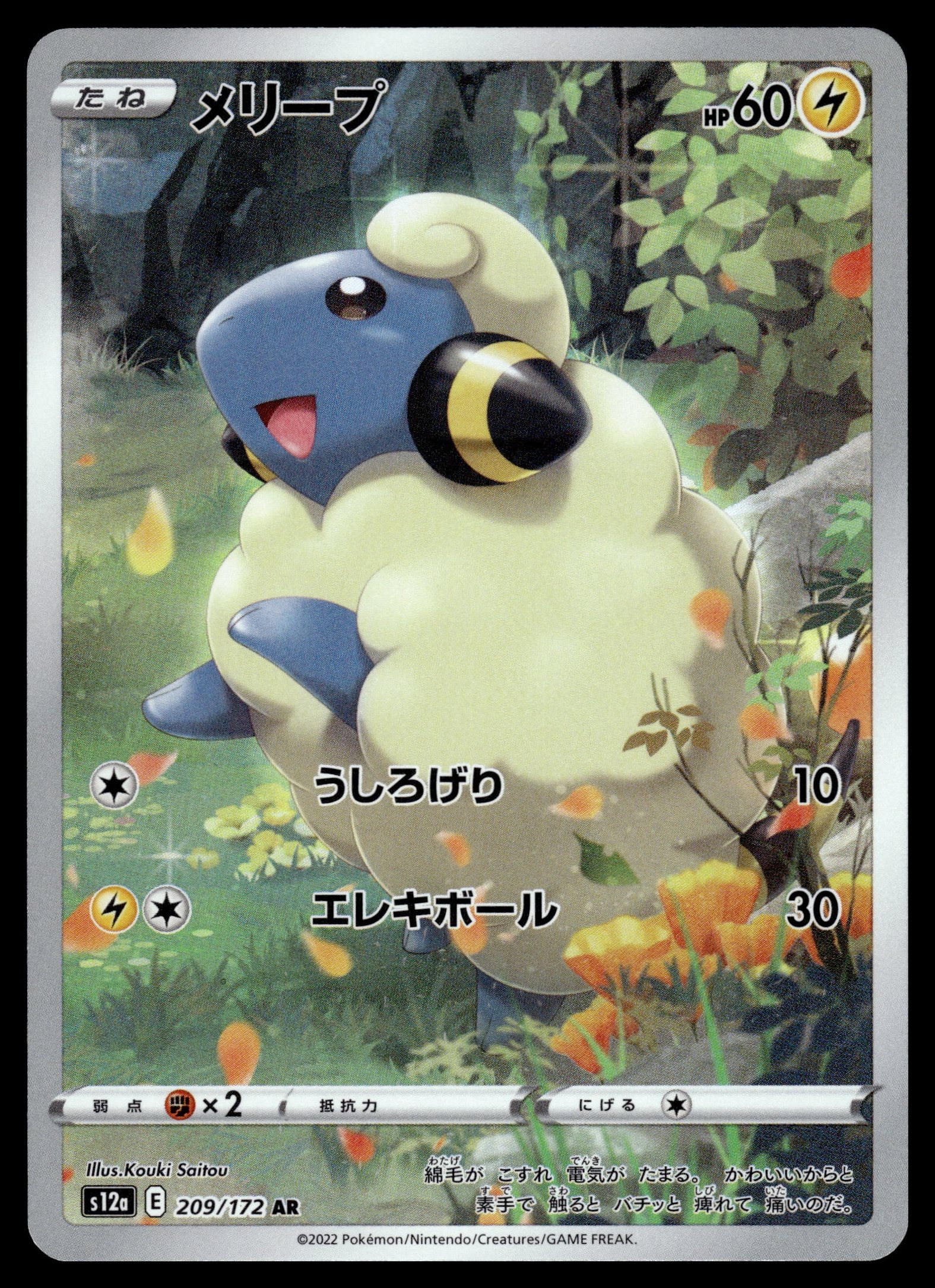 Mareep 209/172 – front