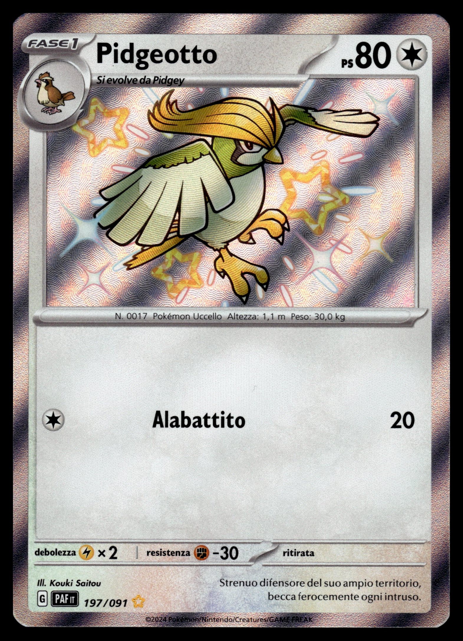 Pidgeotto 197/091 – front