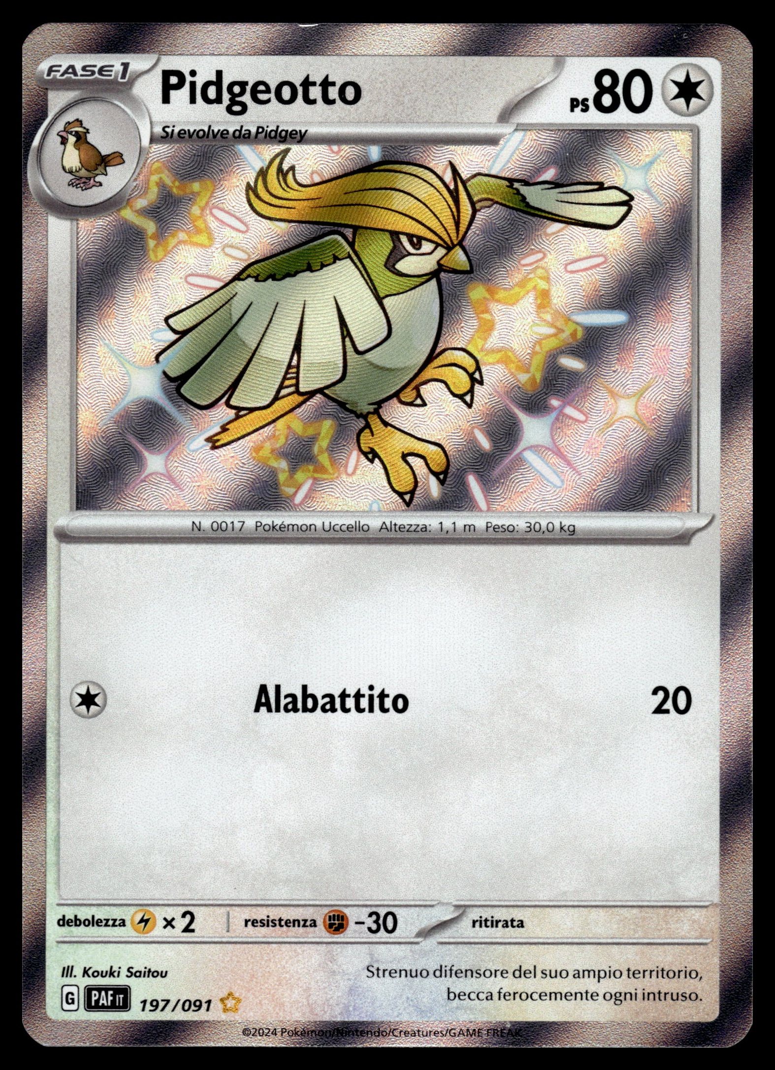 Pidgeotto 197/091 – front
