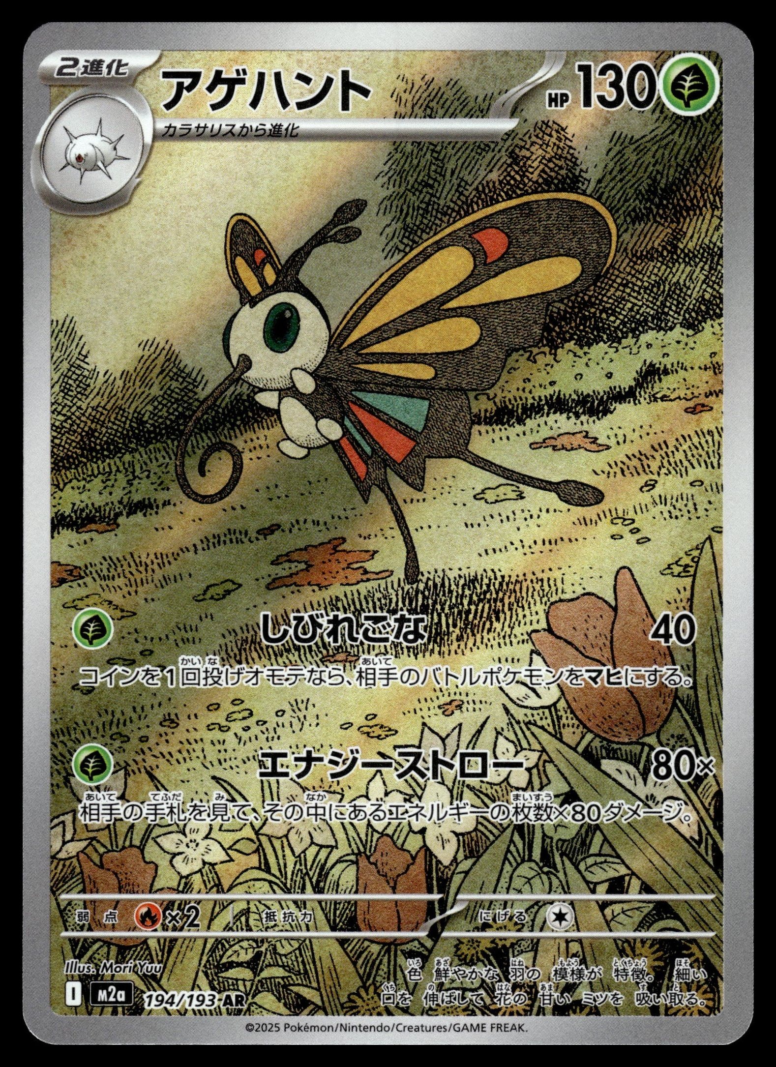 Beautifly 194/193 – front