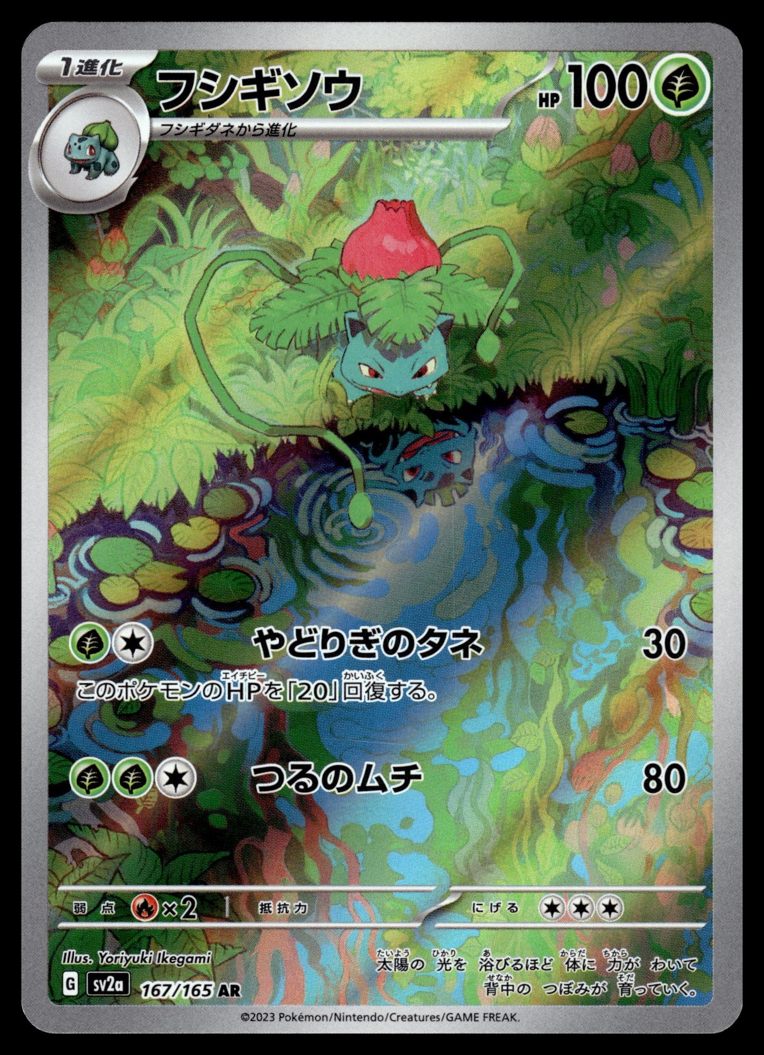 Ivysaur 167/165 – front