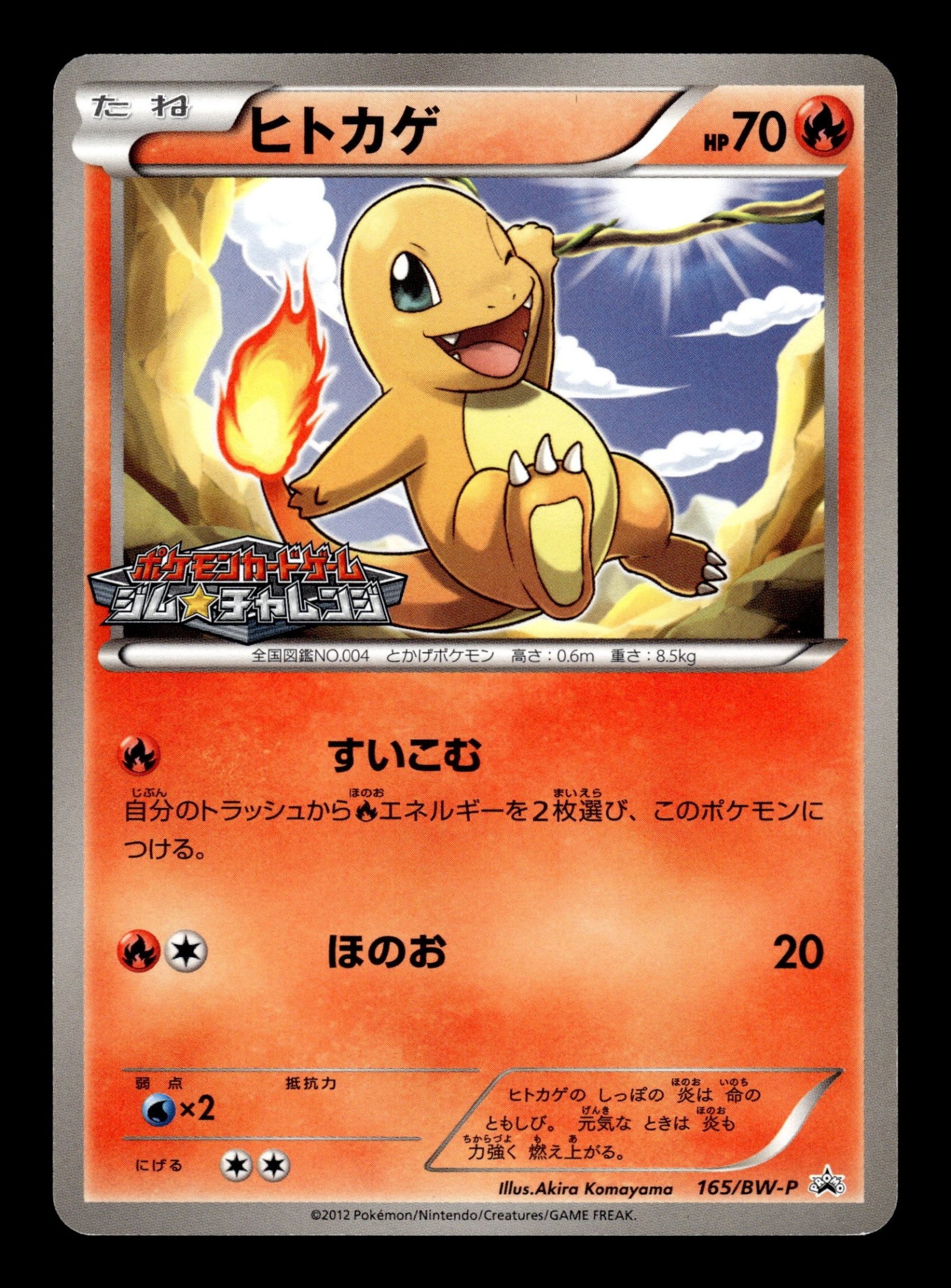 Charmander 165/BW-P – front