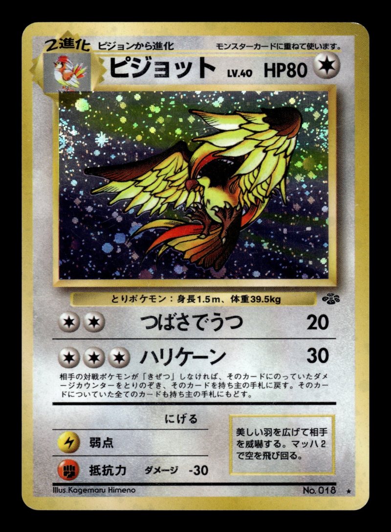 Pidgeot (ピジョット)